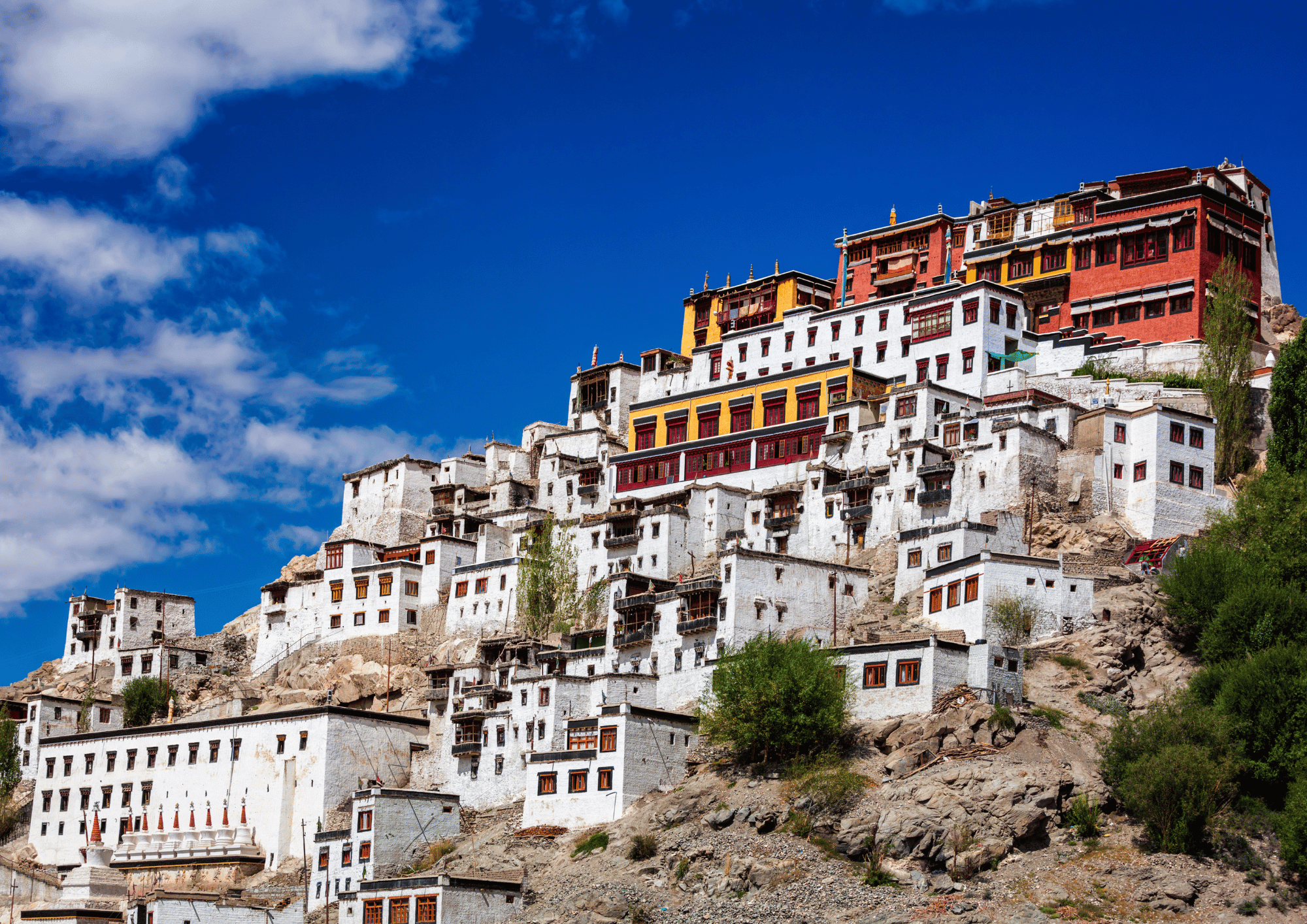 Ladakh Himalayan Escape