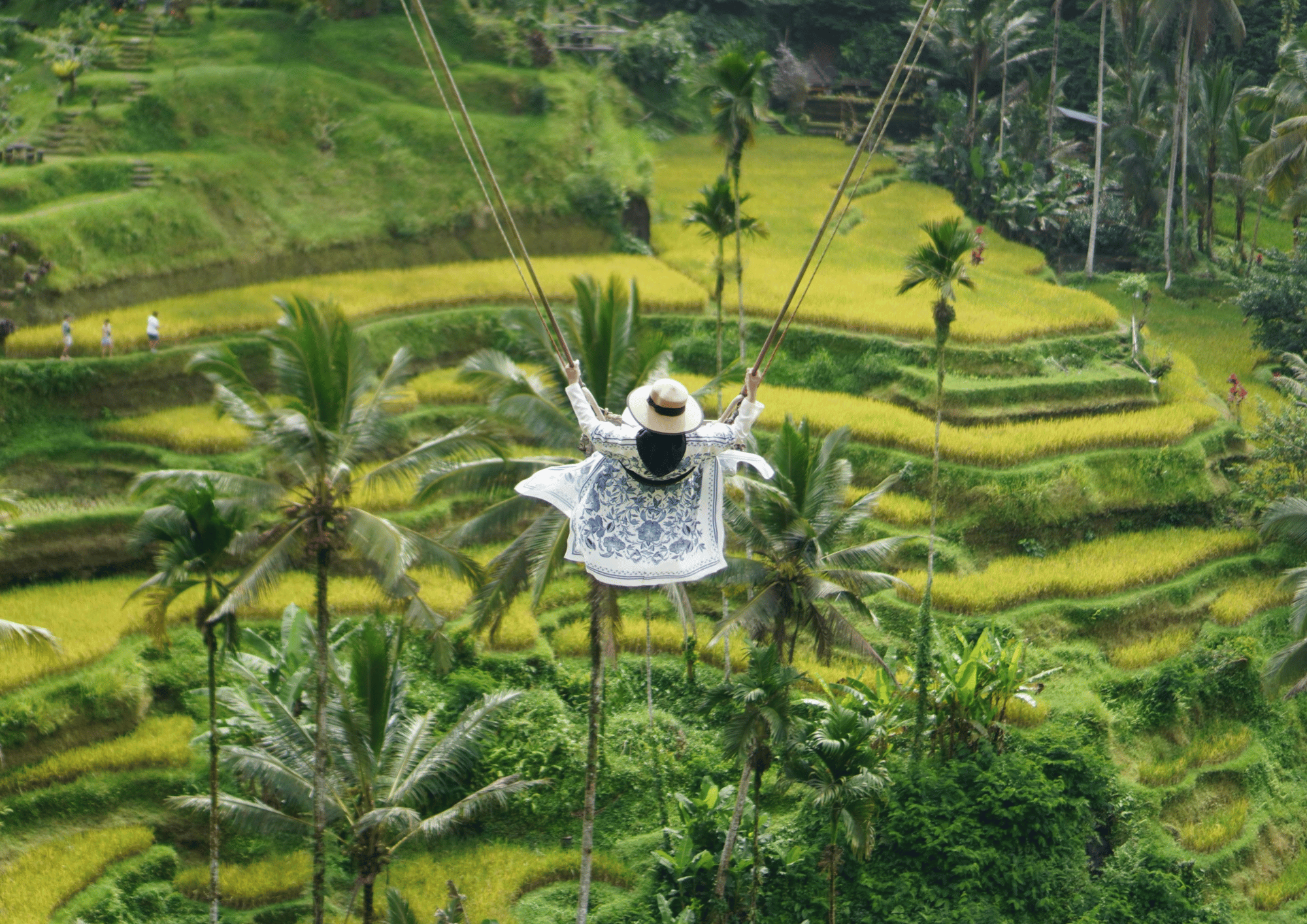 Best of Bali Experience