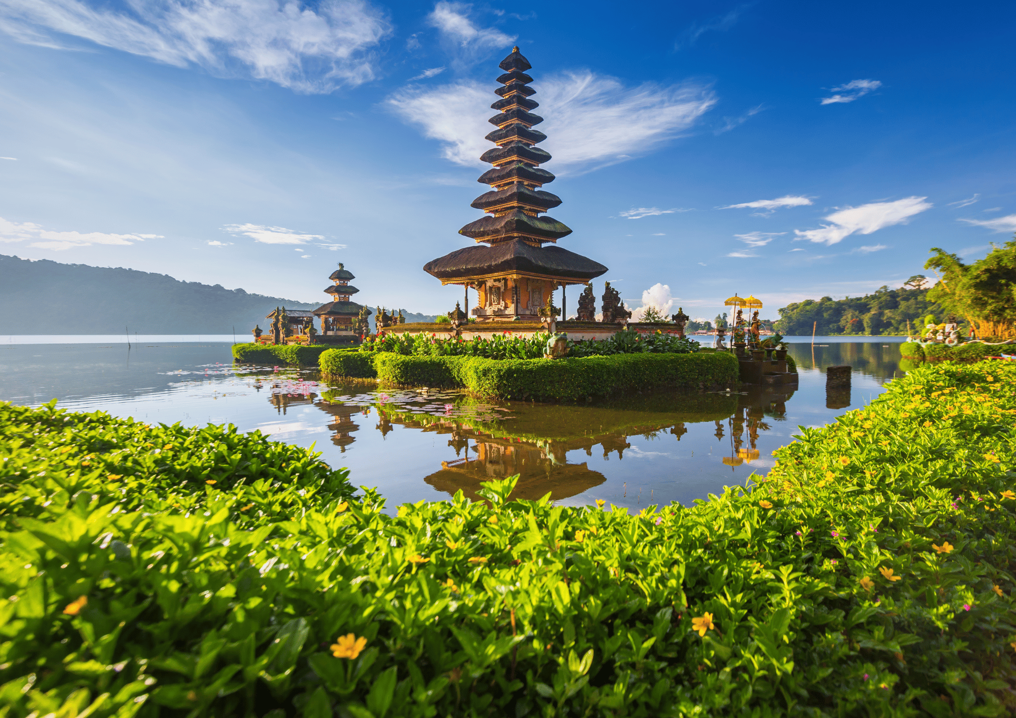 Bali Highlights Tour